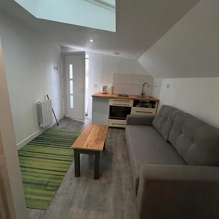 Avec Terrasse Apartment *
